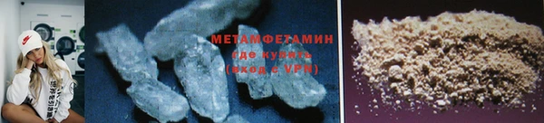 прущие грибы Михайлов