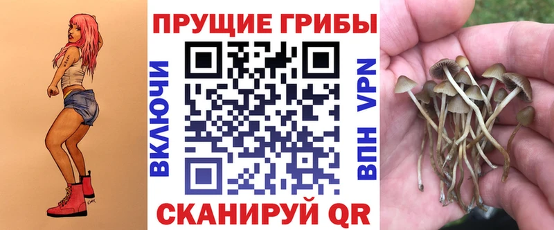 Галлюциногенные грибы Psilocybine cubensis  Орёл 